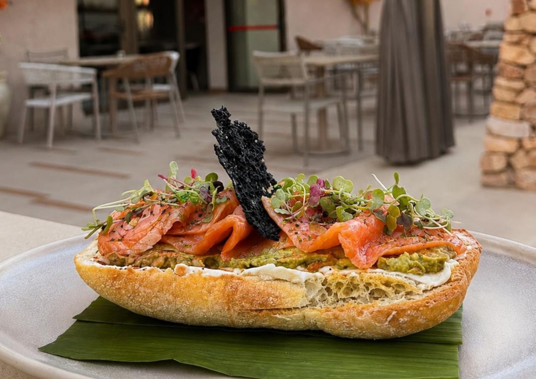 Tostada Camalote del Guadiana